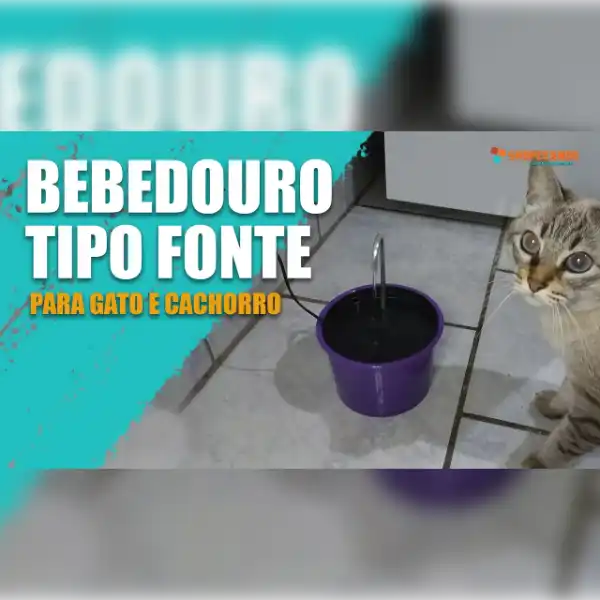 Fonte de Água para Gatos: Vale a Pena Comprar na Shopee?